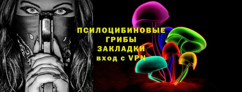 Псилоцибиновые грибы Psilocybe  Лиски 